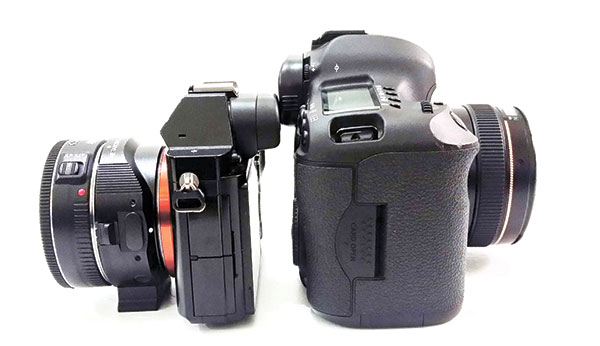 Mirrorless camera, Sony A7 (left ) and Canon 5D mark III. Both are full-frame cameras with high megapixels. 